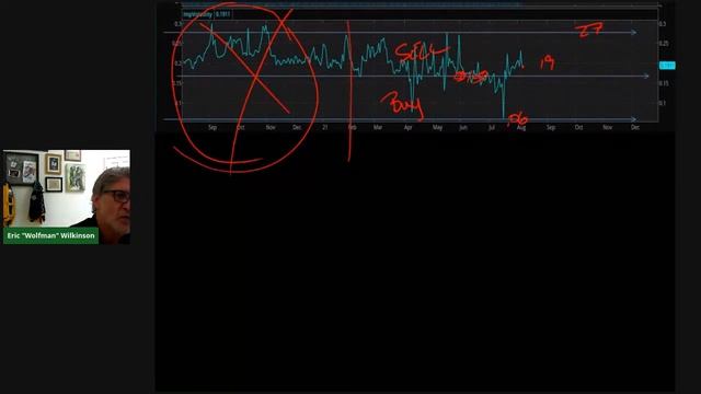 Swing Trades Using Options -Sideways Moves- #2. Short Iron Butterfly смотреть онлайн