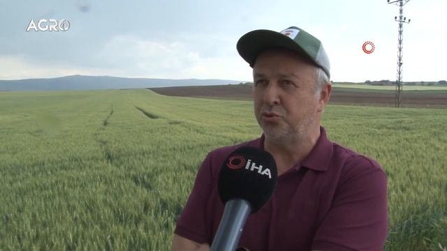 Çiftçinin Ürettiği 1 Kilo Buğday 1 Ekmek Etmiyor! "Buğday Parası Çok Düşük" / AGRO TV HABER смотреть онлайн