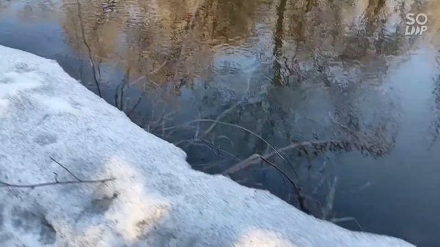 Springless Бесконечная весна смотреть онлайн