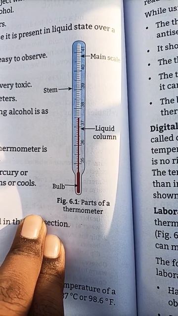 Parts of thermometer. #viral#reel #viralvideo #trending#instragram#study#viralshort#reels#popular смотреть онлайн
