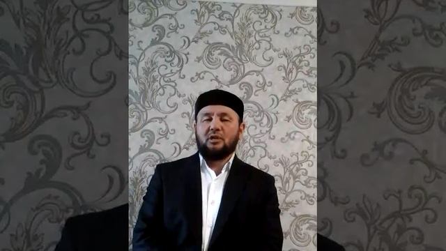 #FreeSerikzhan#FreeSerikjan смотреть онлайн