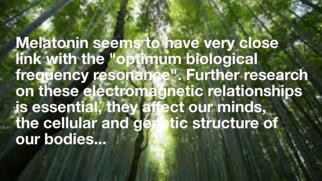 Schumann Resonance смотреть онлайн