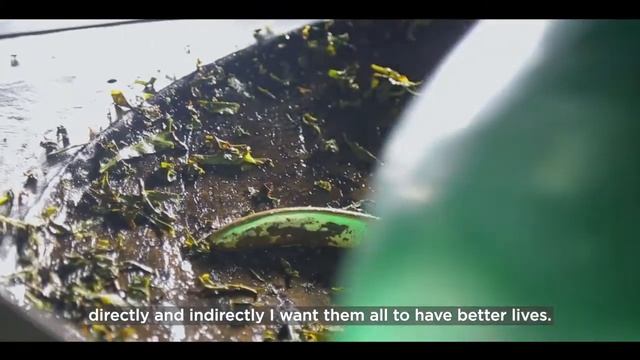 Merrill: A Life Devoted to Tea- A Better Life for All смотреть онлайн