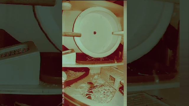 Никогда не сдавайся! смотреть онлайн