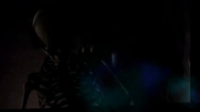 Wiki dB- Loopoholic (feat. MoussKerr) смотреть онлайн