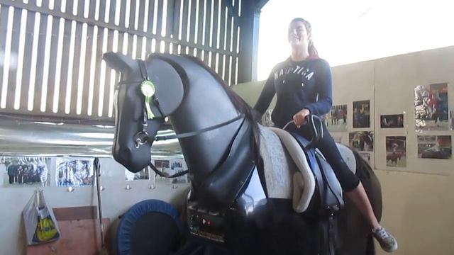 Vaulting: Freya and Henry смотреть онлайн