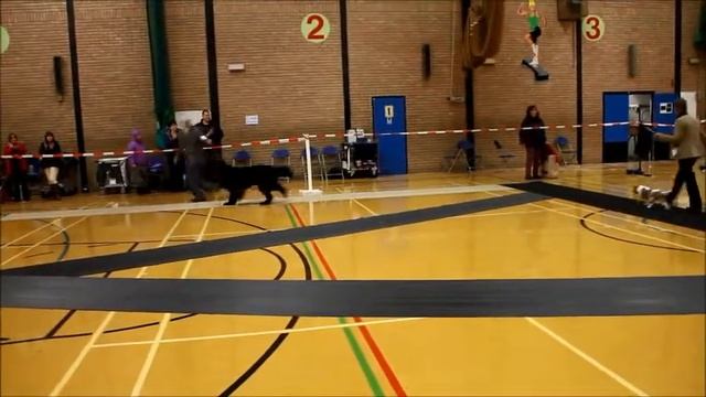 Best Puppy in Show смотреть онлайн