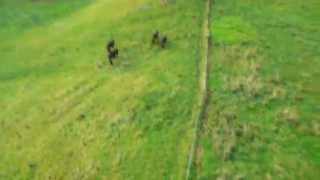 森吉山～阿仁のゴンドラ２０１０ смотреть онлайн