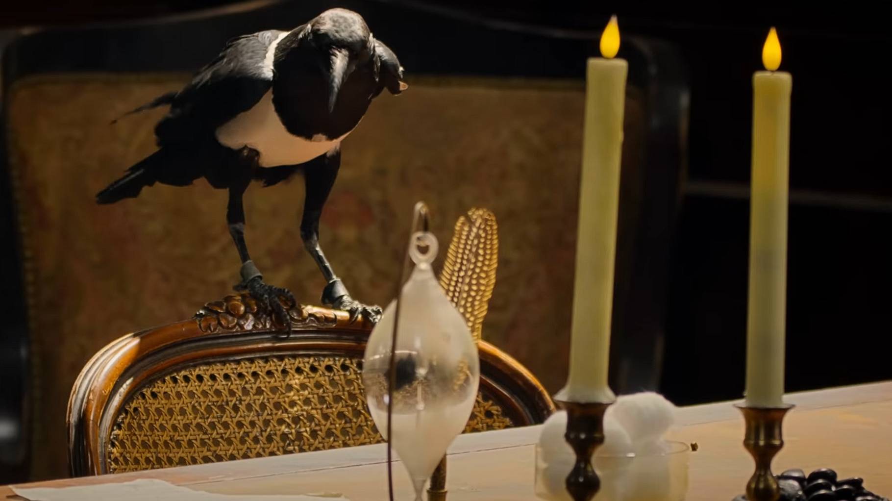 Тестируем Самую Умную Ворону в Мире смотреть онлайн