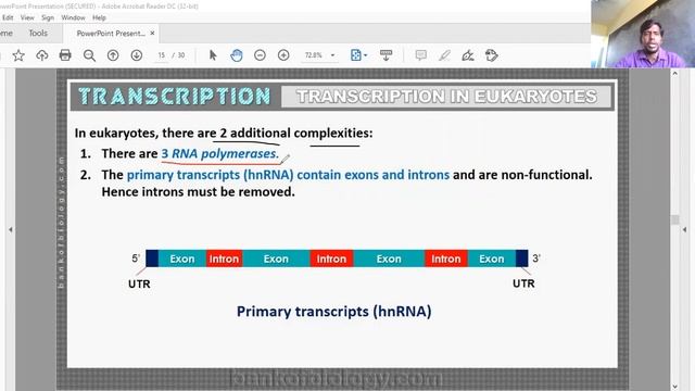 NEET.MOLICULAR BASIS OF INHERITANCE PART 3. смотреть онлайн