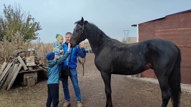 Павел Поляков - Путешествие в хутор Карагичевский