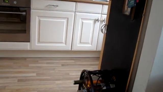 Mika kan al erg goed lopen na 1 jaar en 3 dagen смотреть онлайн