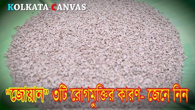 "জোয়ান" খেলে এই ৩টি সমস্যার সমাধান হবে.জানতে ভিডিওটি দেখুন। смотреть онлайн