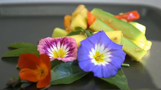 Футаж HD Три элемент для Intro 2. Альфа канал смотреть онлайн