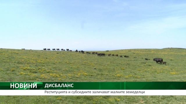 Централна емисия новини на АГРО ТВ - 05.08.2021г. смотреть онлайн