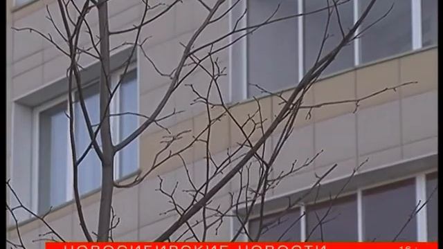 "Новосибирские новости" от 24 октября 2017 года смотреть онлайн