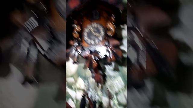koleksi jam kikuk antik jadul#jamkikuk #jamantik #cuckooclock #vintageclock #koleksiantik смотреть онлайн