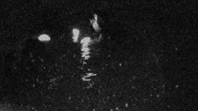THE LAST WAVE - I'm Coming To Like You Gal (Scop' Live Edit) смотреть онлайн