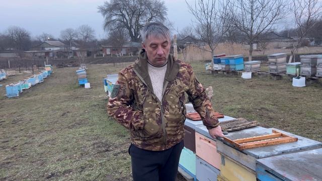 Просадка пчелосемей. Что останется к весне? смотреть онлайн