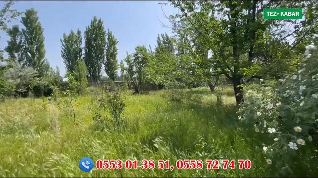 Бак-дарагы менен 5 сотик ЖЕР сатылат ~ Документи так, суу да, свет да бар смотреть онлайн