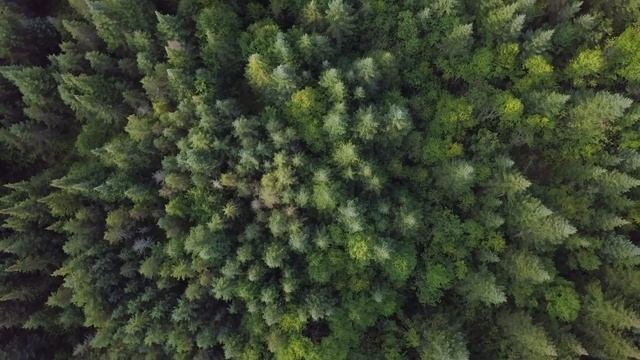 Bosse | ION-Cloud смотреть онлайн