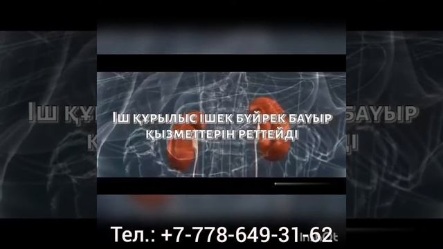 #Нано-бальзам #Global trend company Шиеле қаласында офис бар, казир қоңырау согыныз тел экранда смотреть онлайн