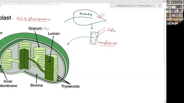 Learnivio | Photosystem | Photosynthesis in Higher Plants | Lect 1 | MEC | 05-02-2022 смотреть онлайн