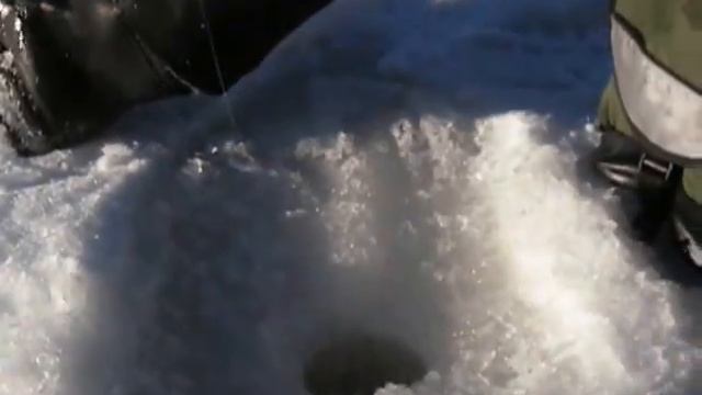 Pimpelfiske смотреть онлайн