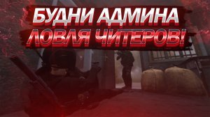 Админские будни - Ловля читеров #dayz #dayzpvp #cheat #cheater #survivor