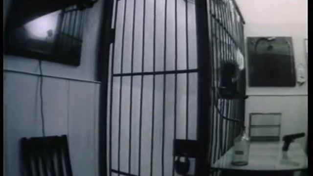 Кобрин - Homo paradoksum-II (2/2) смотреть онлайн