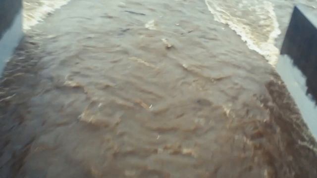 Grey DeLisle: "Valentine" #GreyDeLisleGriffin #ValentinesDay #Old97s смотреть онлайн