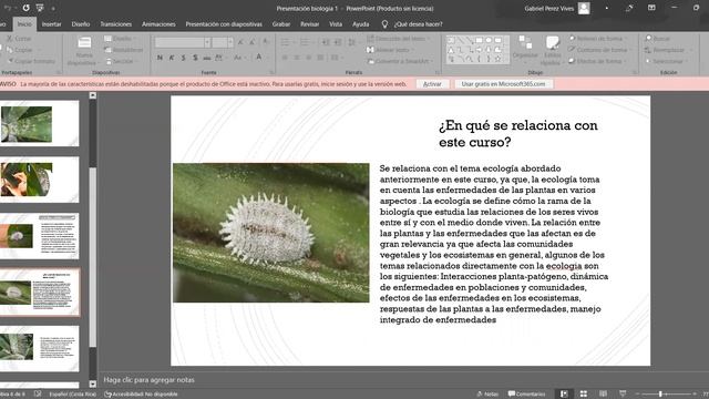 cochinilla algonodsa смотреть онлайн
