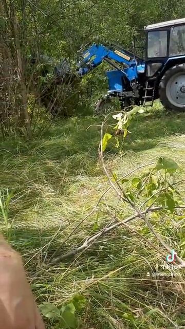 пить любят верблюды смотреть онлайн