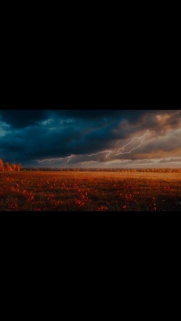 Наступила осень