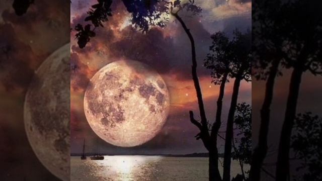 Фото из Pinterest смотреть онлайн