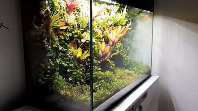 Wiwarium w Aquael Glossy 01.02.2020r 15 miesiąc! смотреть онлайн