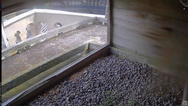 Camera 6 - 07/23/24 смотреть онлайн
