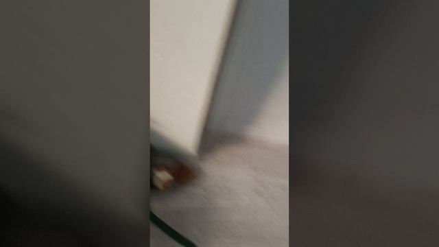 турничок смотреть онлайн