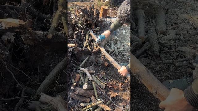 Max Ekstra 20V 4 amper 🪚🌳 güç deneme 💪 смотреть онлайн