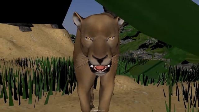Lioness Walk with Environment animation closeup2view смотреть онлайн