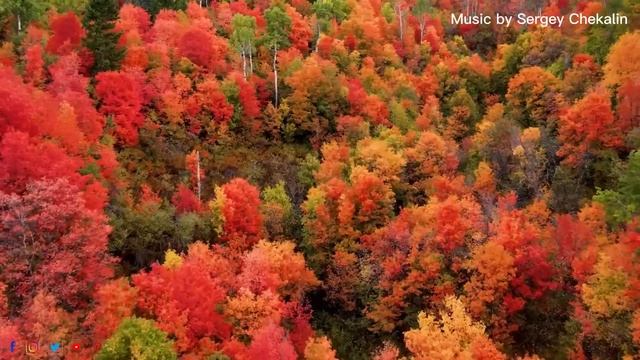 Самая красивая мелодия в мире! Музыка исцеляет сердце осенью. Музыка для души! Сергей Чекалин смотреть онлайн