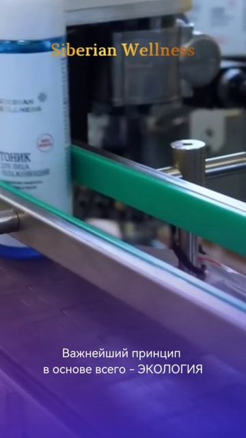 Анжелика Черных