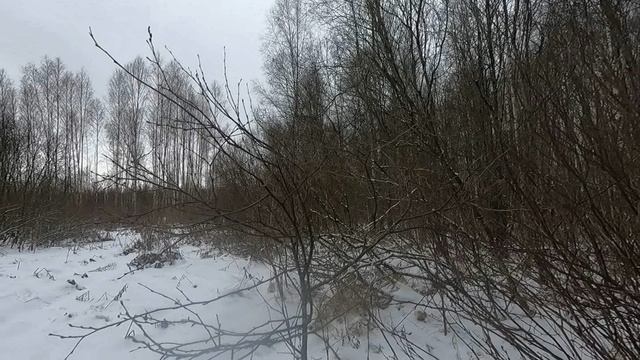 охота с Добычем. 23.01.2025. 16-й смотреть онлайн