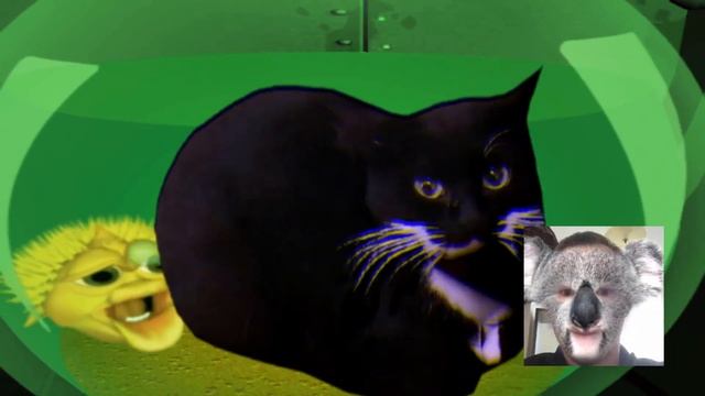 🙉 Full EDIT Maxwell the Cat meme Original vs Yellow Singing Pufferfish remix смотреть онлайн