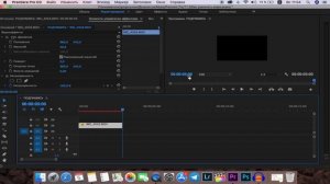 Как масштабировать видео в Adobe Premiere Pro?