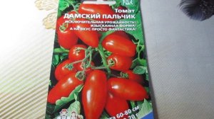 Дамские пальчики, которые не подведут! Сорт от Уральского Дачника для щедрого урожая.