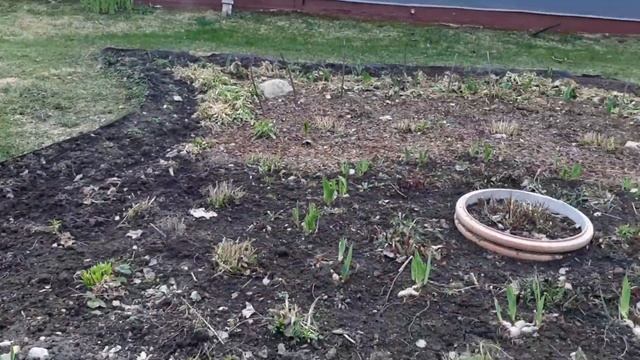 🏠Жизнь в деревне!/Дрожжевая выпечка в пост🥯😋/ Садовые работы весной. #жизньвдеревне #villagelife