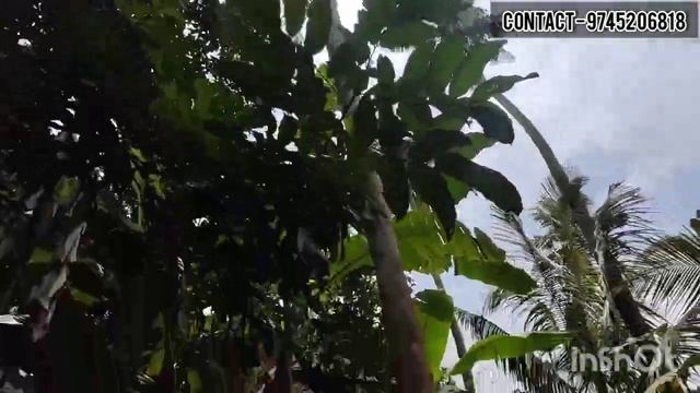 20 സെന്റും 3500 sqft വീടും | 20 cent old house urgent sale in kalamassery смотреть онлайн