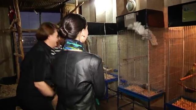 PUZZLE 273 13 10 2014 World Animal Day смотреть онлайн