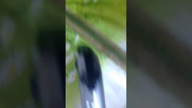 Пиха осмотр смотреть онлайн